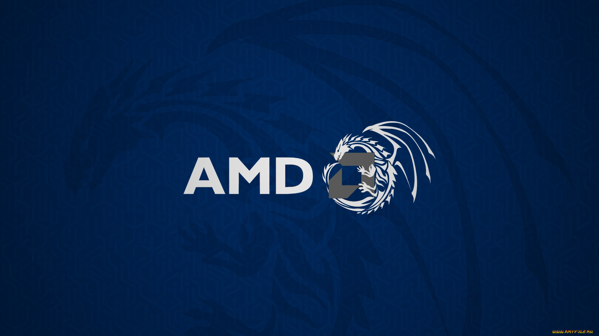 , amd, , 